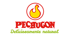 Diseño web Pechugon